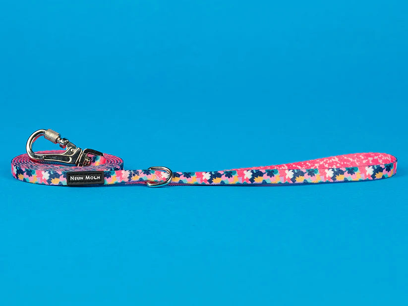 The Luna Dog Lead - by Neon Moon Pet Boutique
