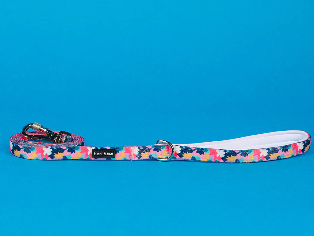 The Luna Dog Lead - by Neon Moon Pet Boutique