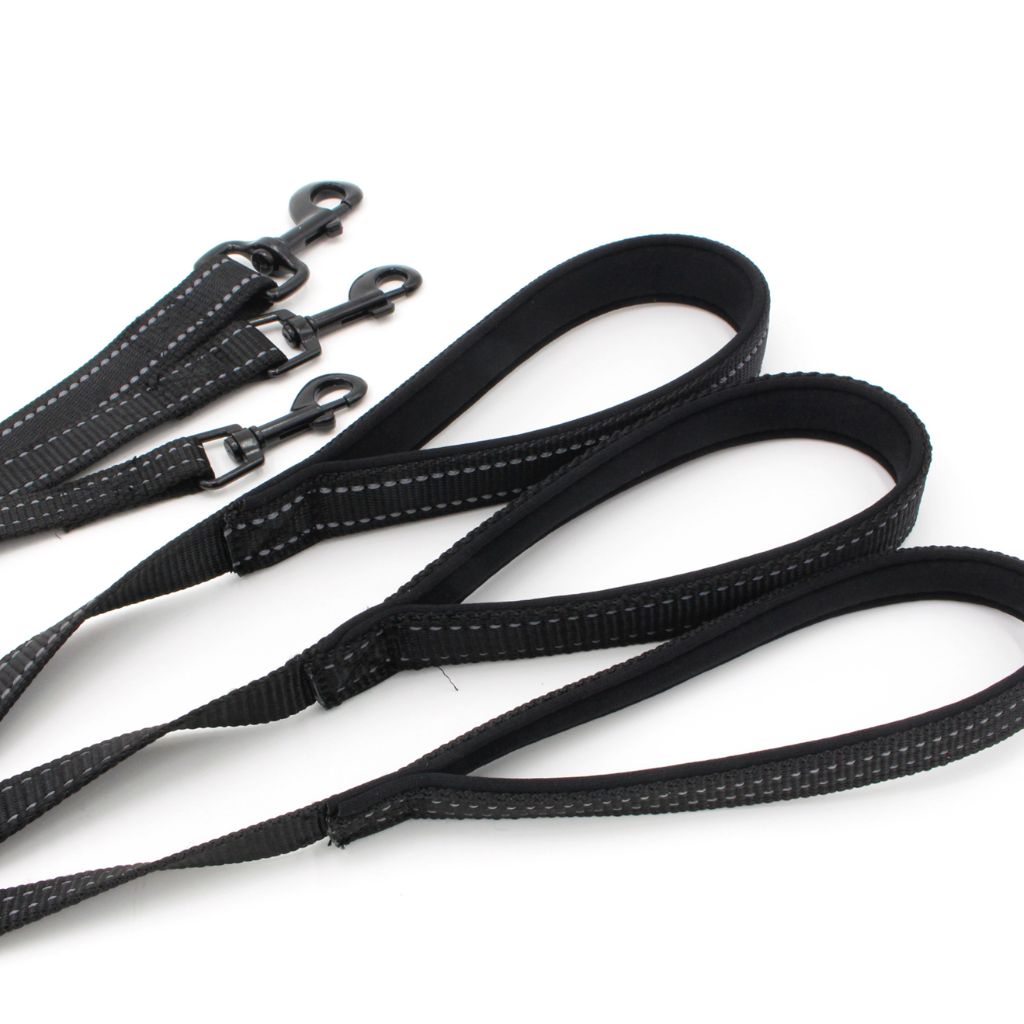 Red Arrow Dog Leash - by Doggy Doo Little